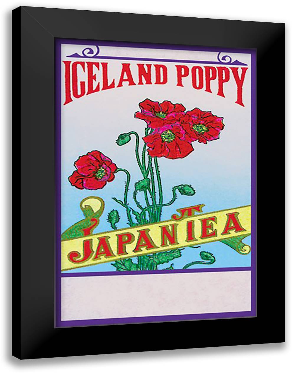 Iceland Poppy Tea 16x22 Black Modern Wood Framed Art Print Poster