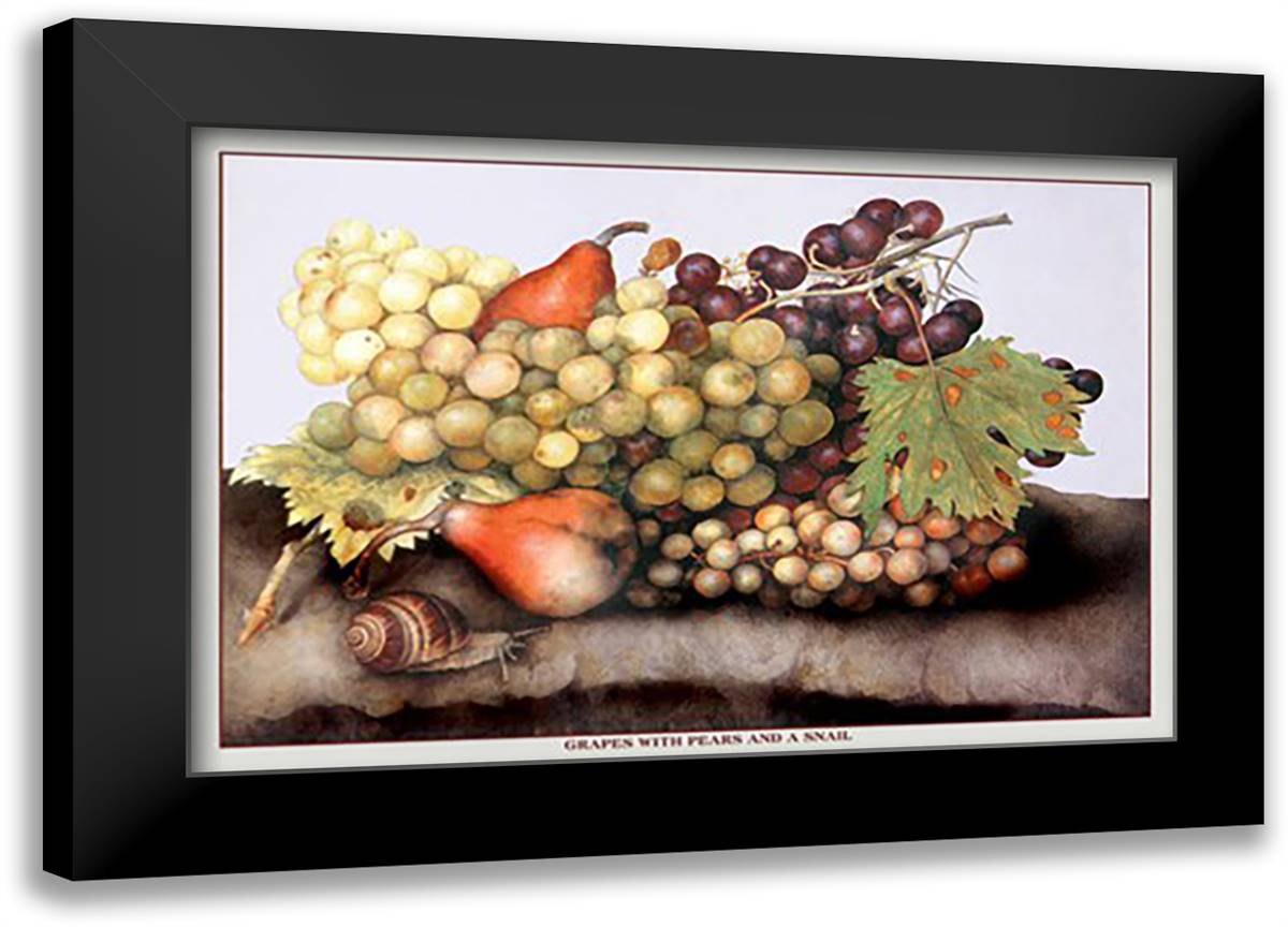 Grapes and Pears with a Snail 22x16 Black Modern Wood Framed Art Print Poster by Garzoni, Giovanni