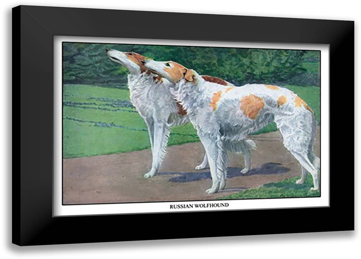 Russian Wolfhound 22x16 Black Modern Wood Framed Art Print Poster by Fuertes, Louis Agassil