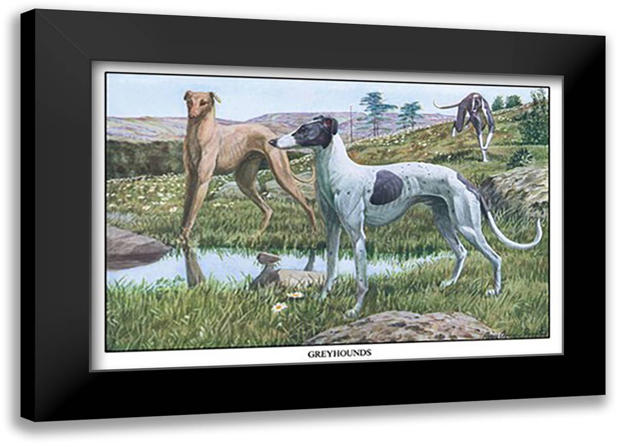 Greyhounds 22x16 Black Modern Wood Framed Art Print Poster by Fuertes, Louis Agassil
