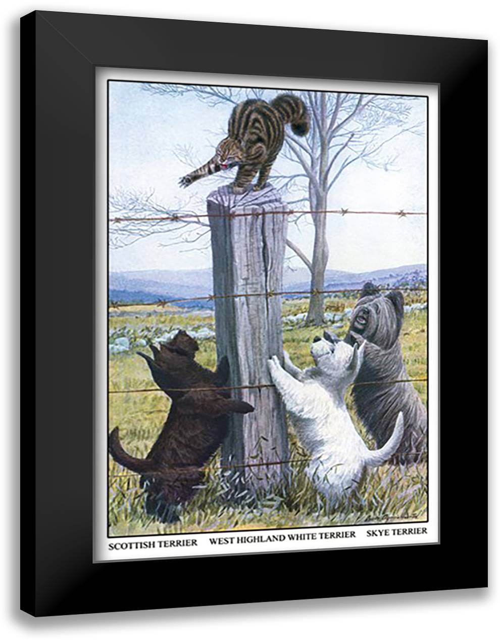 Scottish Terrier, West Highland Terrier, Skye Terrier 16x22 Black Modern Wood Framed Art Print Poster by Fuertes, Louis Agassil