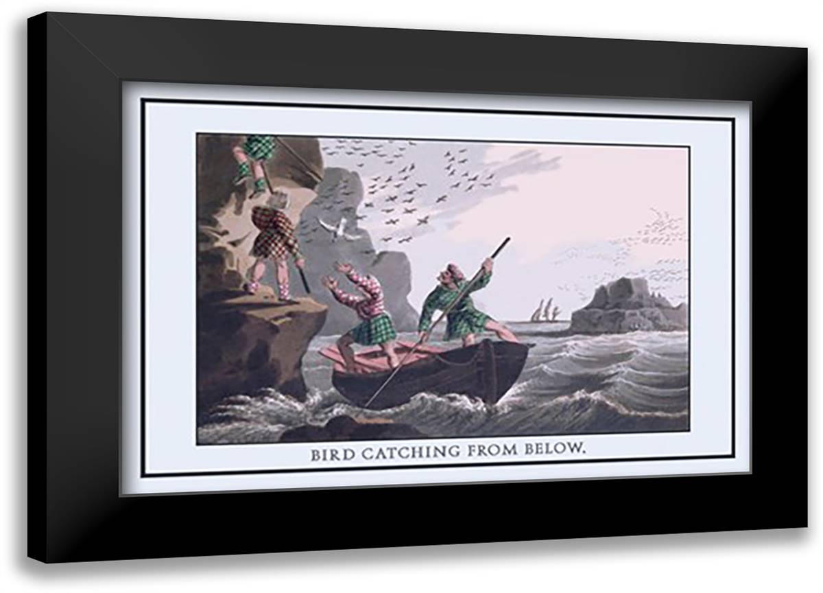 Bird Catching From Below 22x16 Black Modern Wood Framed Art Print Poster by Clark, J. H.