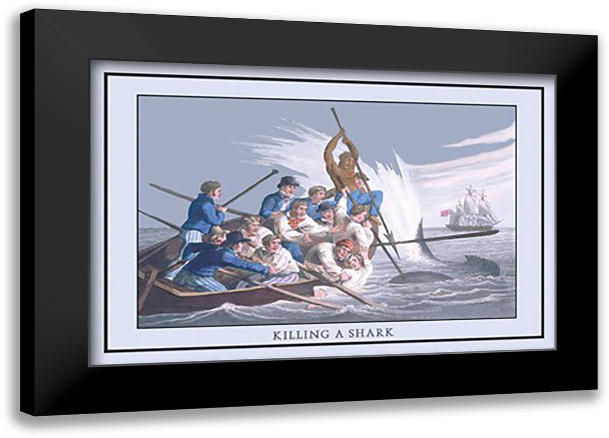 Killing a Shark 22x16 Black Modern Wood Framed Art Print Poster by Clark, Edward