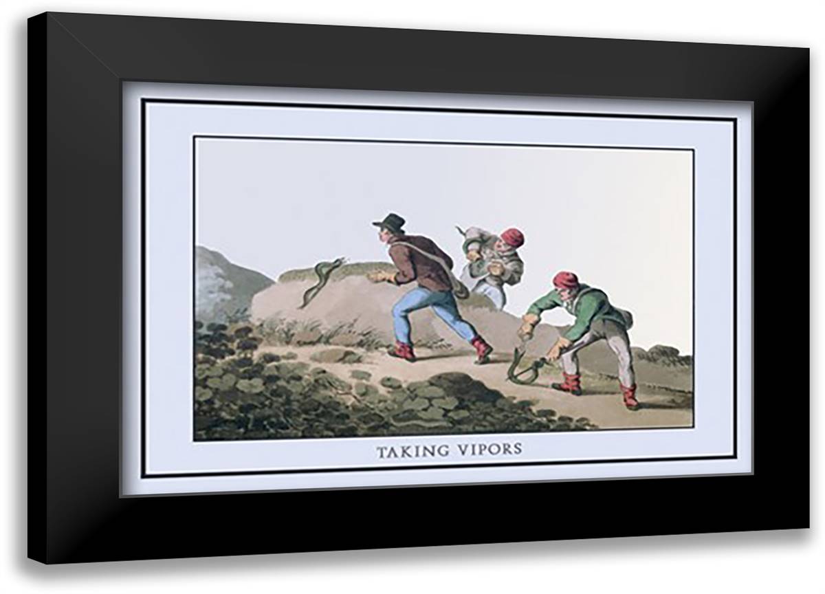 Taking Vipers 22x16 Black Modern Wood Framed Art Print Poster by Clark, J. H.
