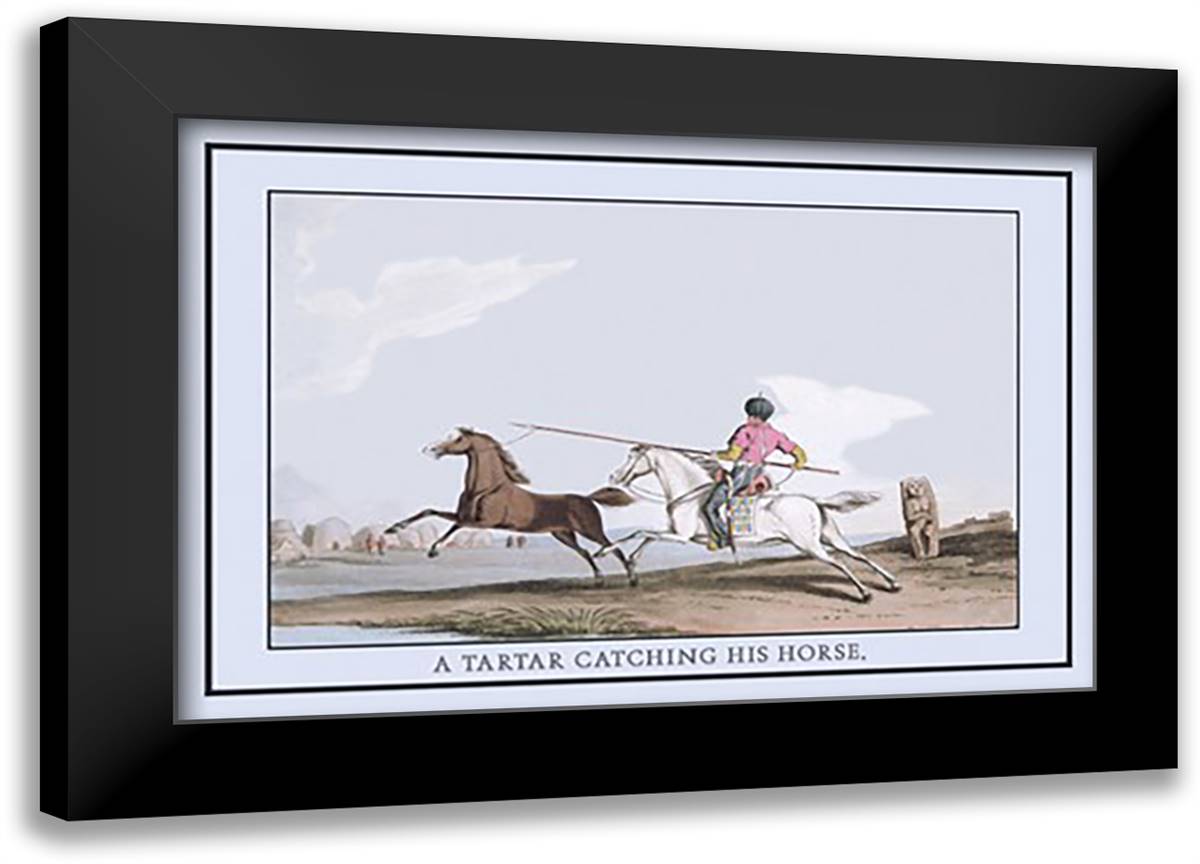 Tartar Catching His Horse 22x16 Black Modern Wood Framed Art Print Poster by Atkinson, Katie