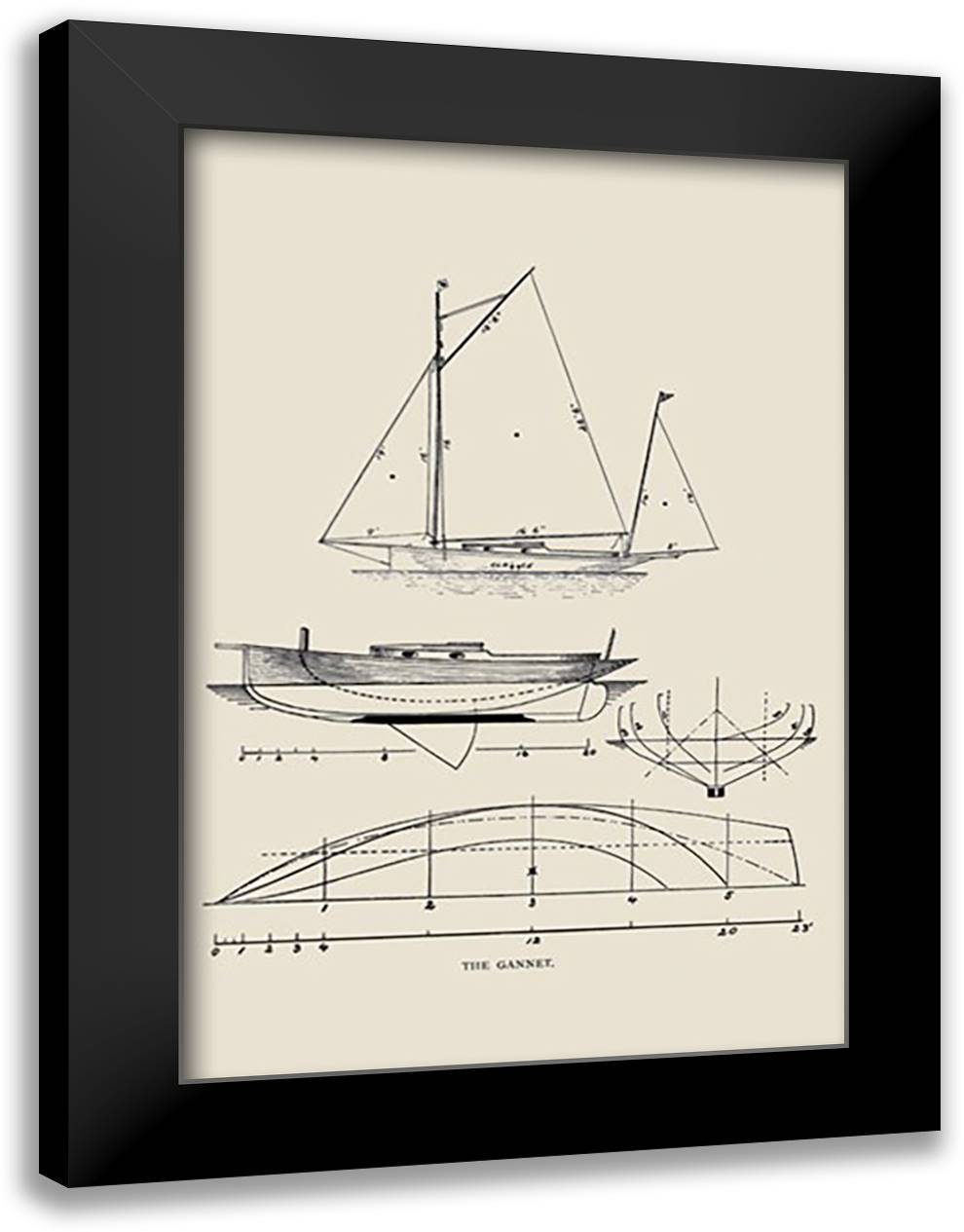 Gannet 16x22 Black Modern Wood Framed Art Print Poster by Kunhardt, Charles P.