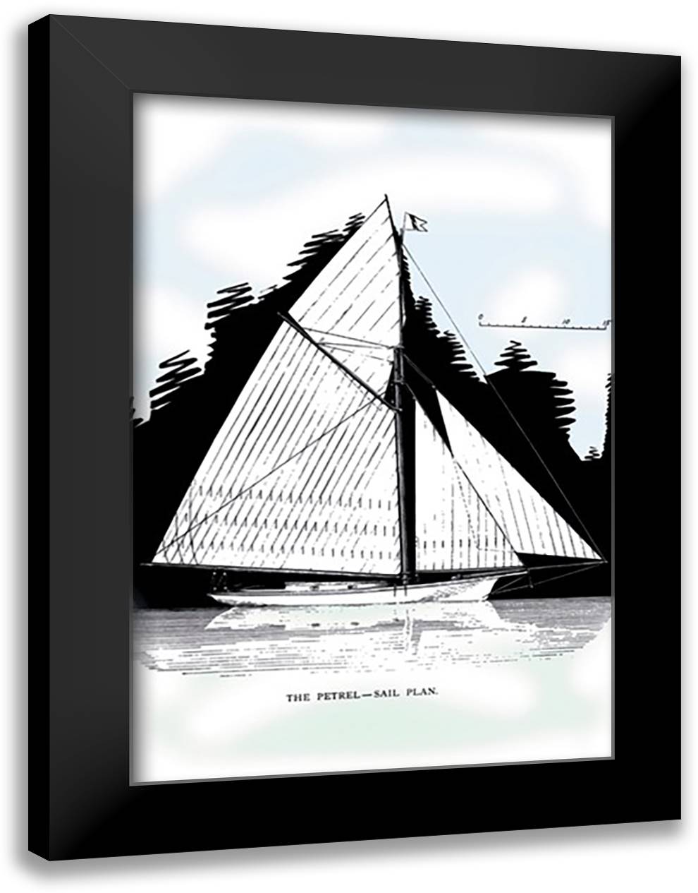 Petrel 16x22 Black Modern Wood Framed Art Print Poster by Kunhardt, Charles P.