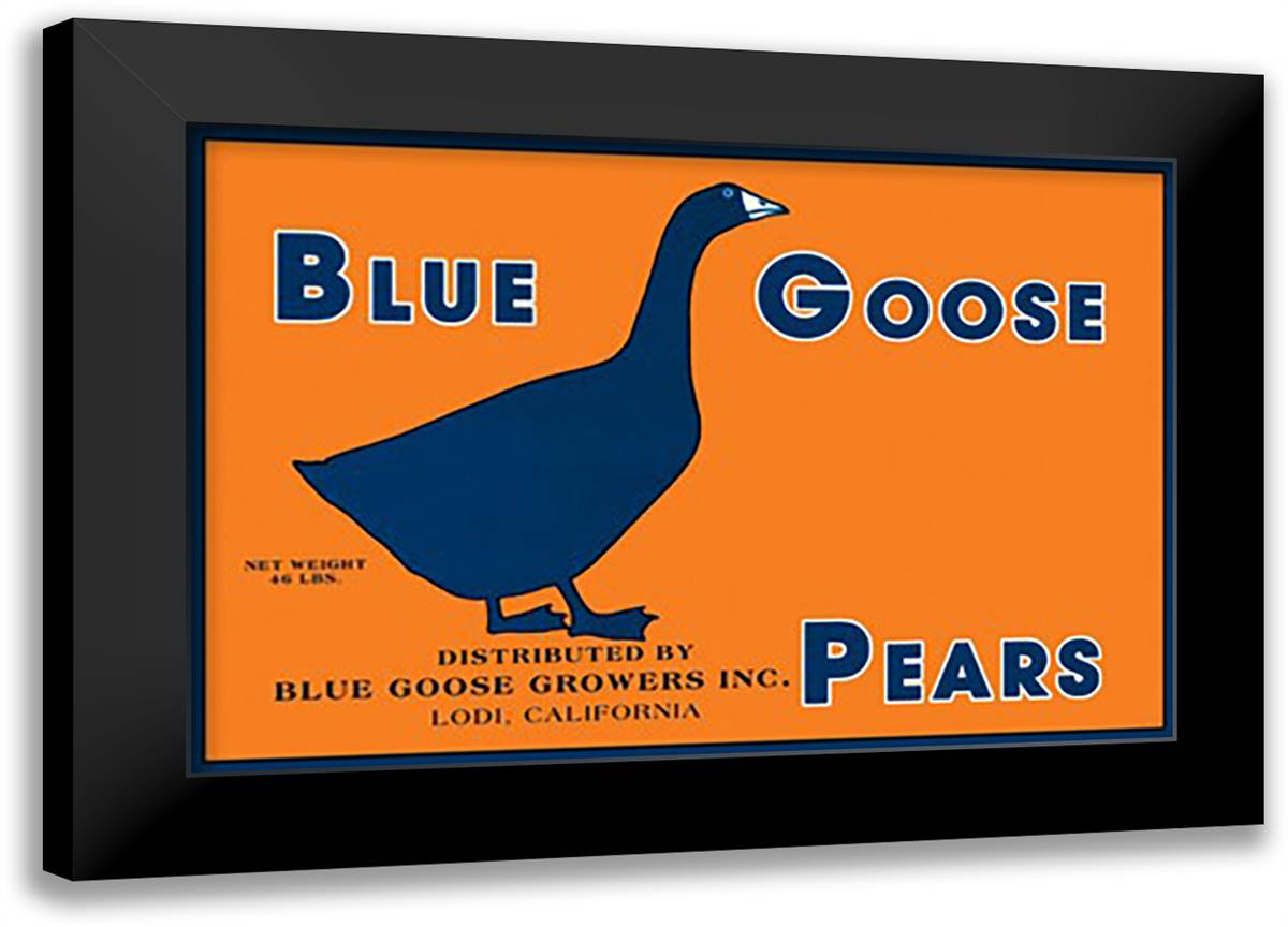 Blue Goose Pears 22x16 Black Modern Wood Framed Art Print Poster