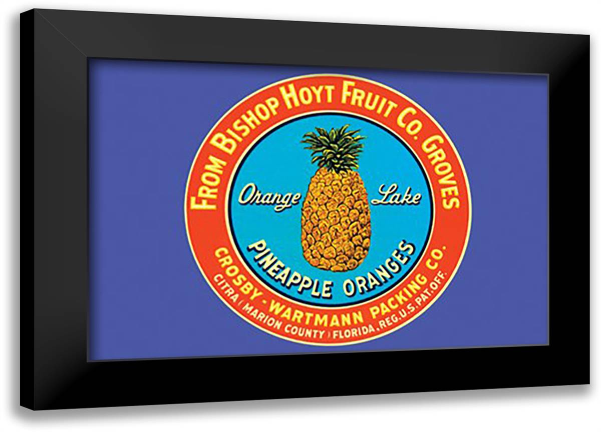 Orange Lake Brand Pineapples 22x16 Black Modern Wood Framed Art Print Poster