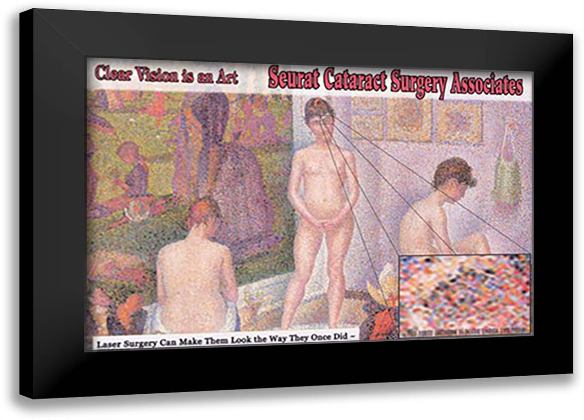 Seurat Cataract Surgery Associates 22x16 Black Modern Wood Framed Art Print Poster by Pierce, Wilbur