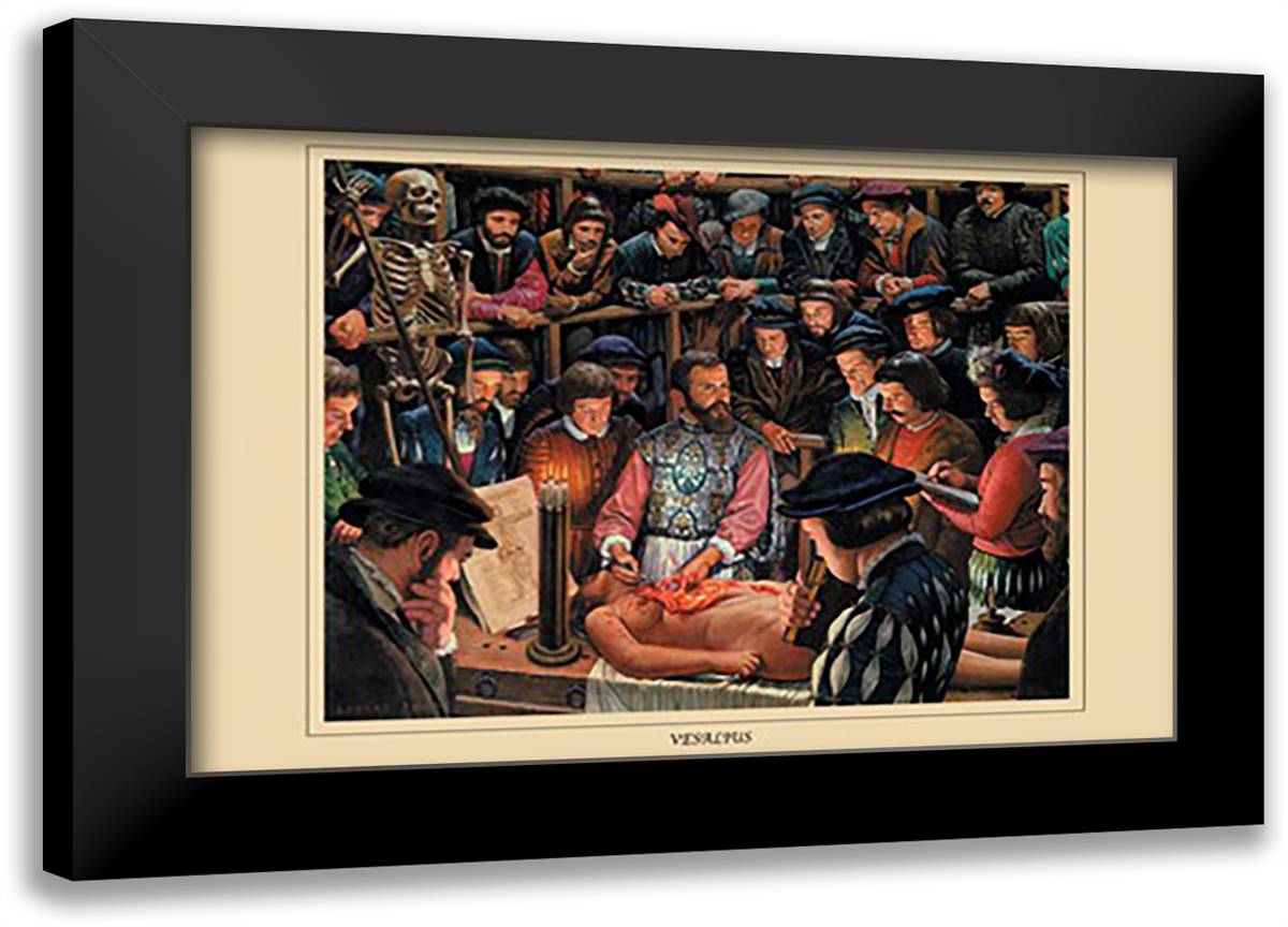 Vesallus 22x16 Black Modern Wood Framed Art Print Poster by Thom, Robert