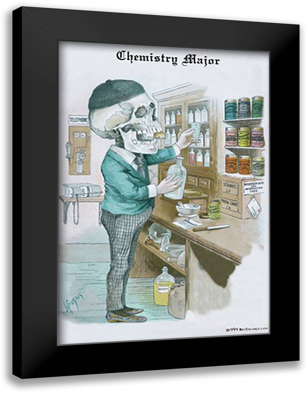 Chemistry Major 16x22 Black Modern Wood Framed Art Print Poster by Frusius M. D., F.