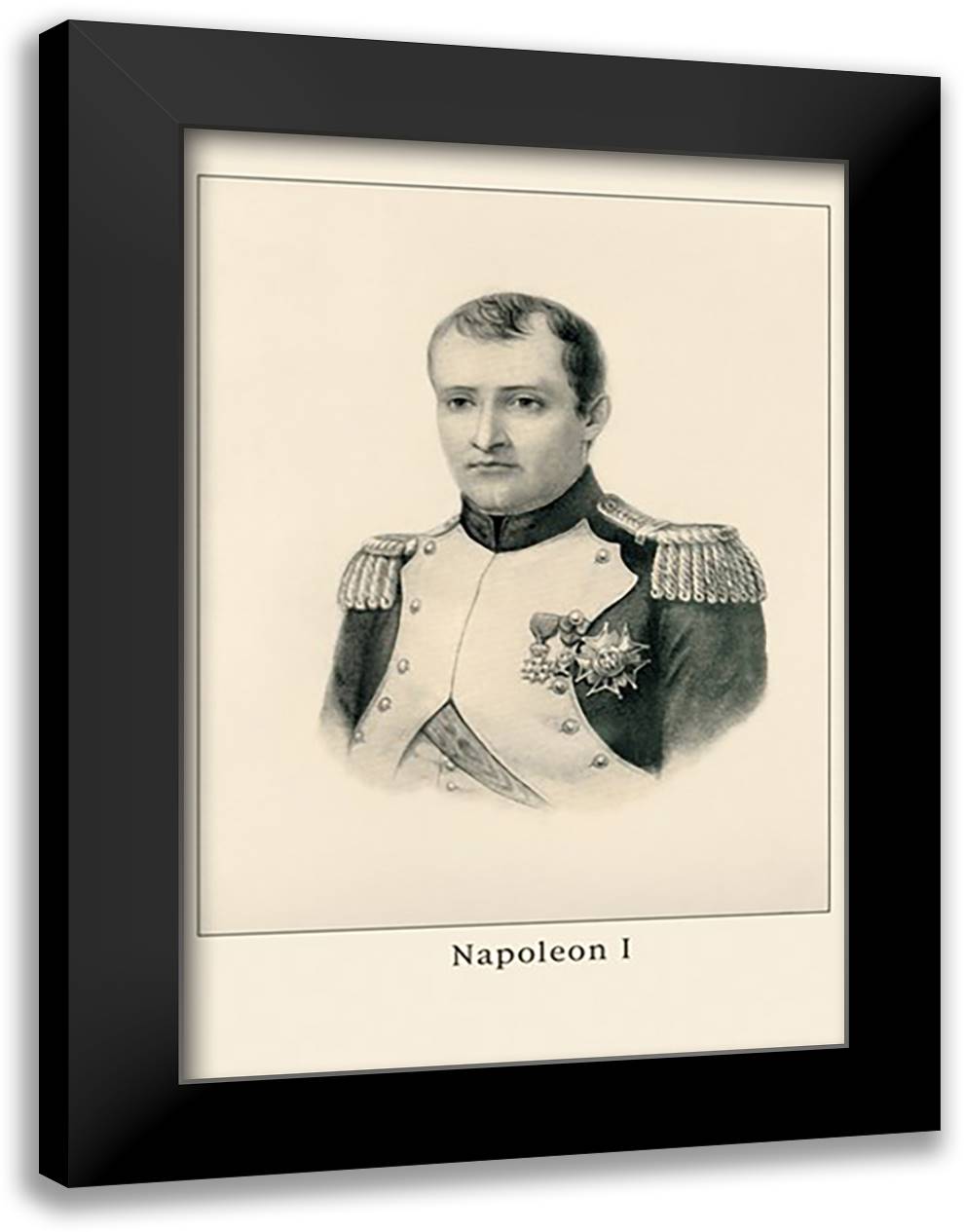 Napoleon I 16x22 Black Modern Wood Framed Art Print Poster