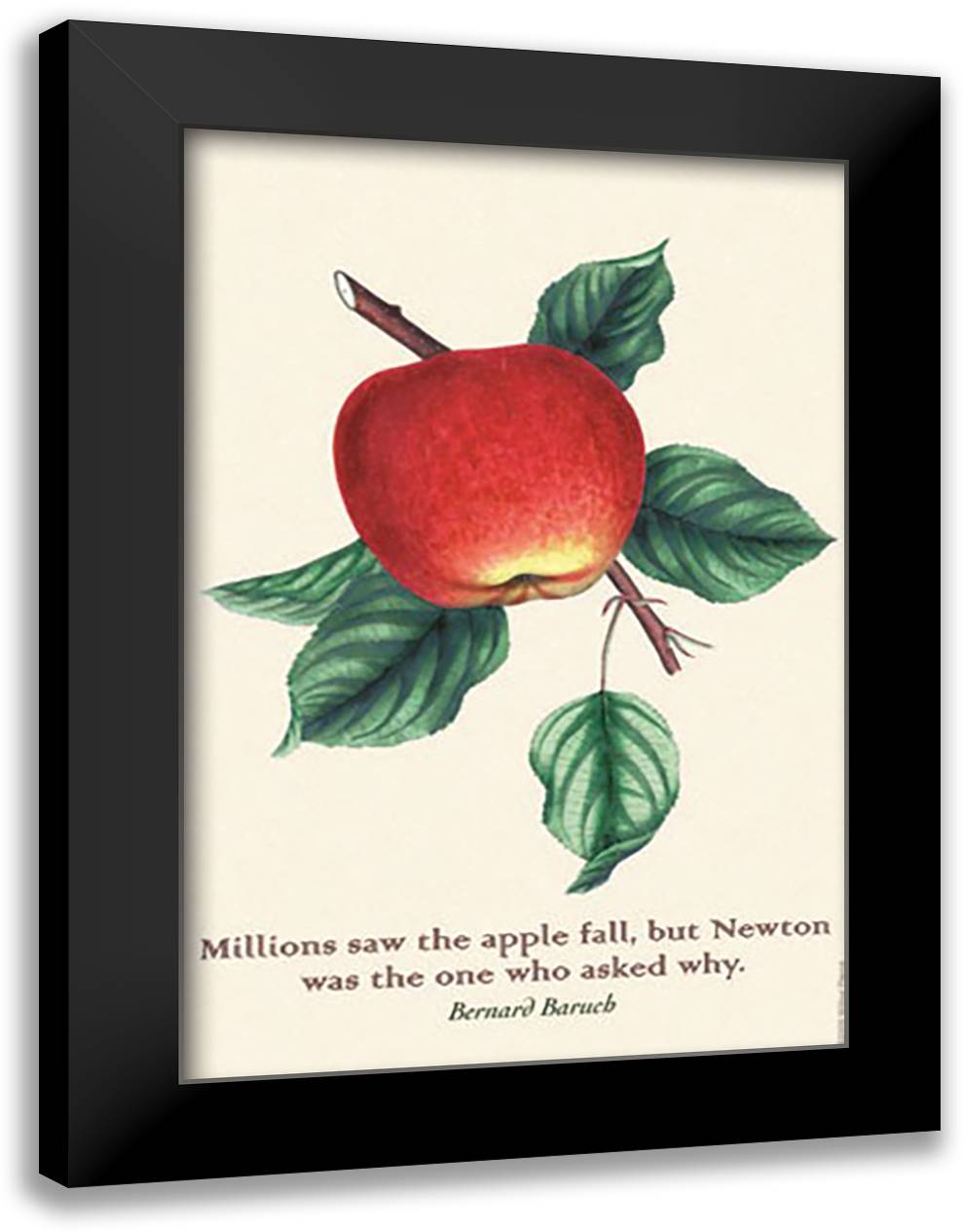 Millions Saw the Apple Fall 16x22 Black Modern Wood Framed Art Print Poster by Pierce, Wilbur