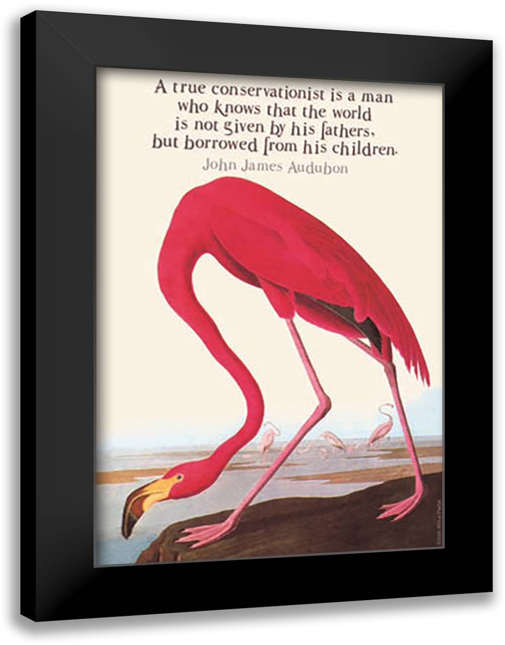 A True Conservationist 16x22 Black Modern Wood Framed Art Print Poster by Pierce, Wilbur