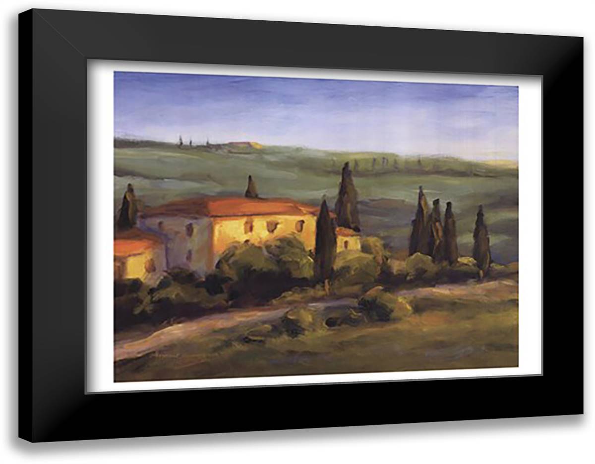 A Tuscan Morning 20x16 Black Modern Wood Framed Art Print Poster by Downs, Michael