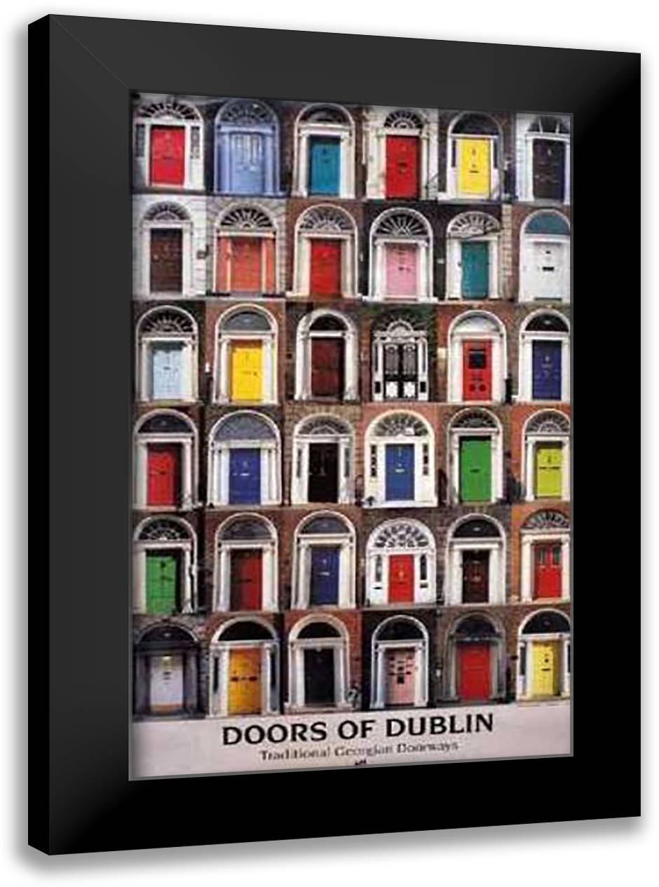 Doors of Dublin 16x24 Black Modern Wood Framed Art Print Poster