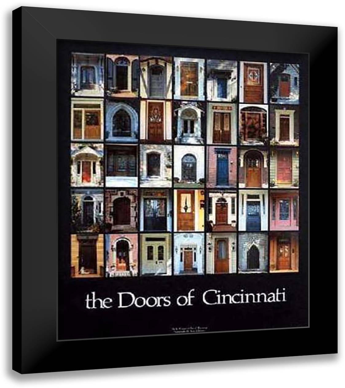 Doors of Cincinnati 28x34 Black Modern Wood Framed Art Print Poster by JWC