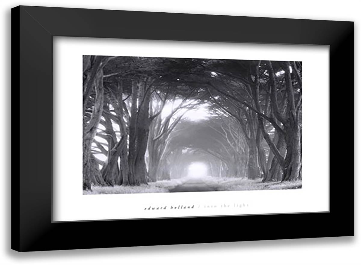 Into the Light 40x28 Black Modern Wood Framed Art Print Poster by Holland, Edward