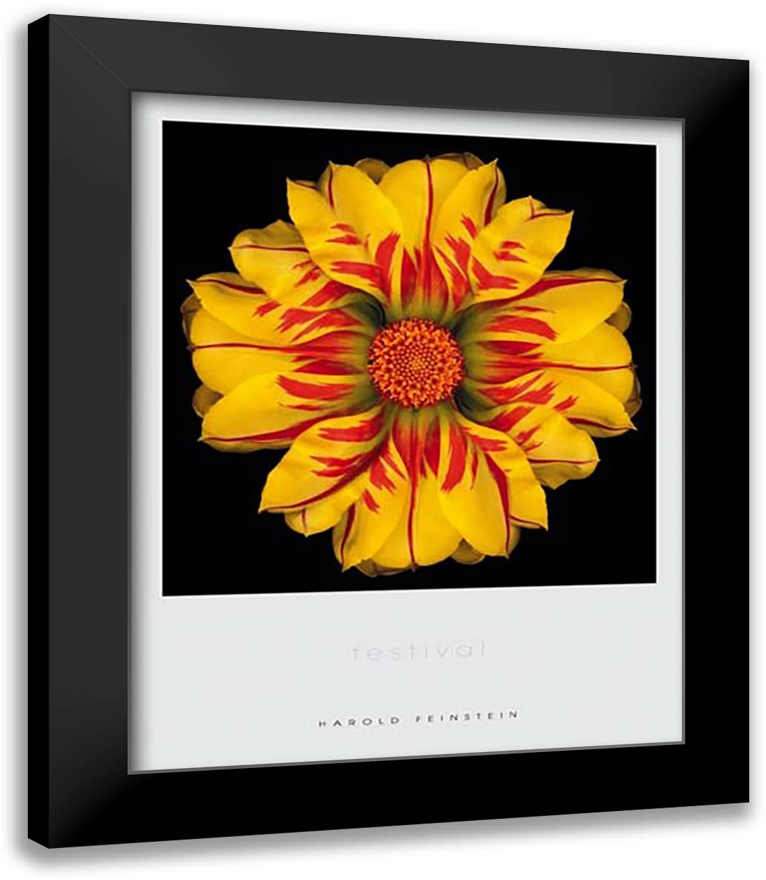 Harold Feistein - FESTIVAL Size 15x18 Black Modern Wood Framed Art Print Poster by Feinstein, Harold