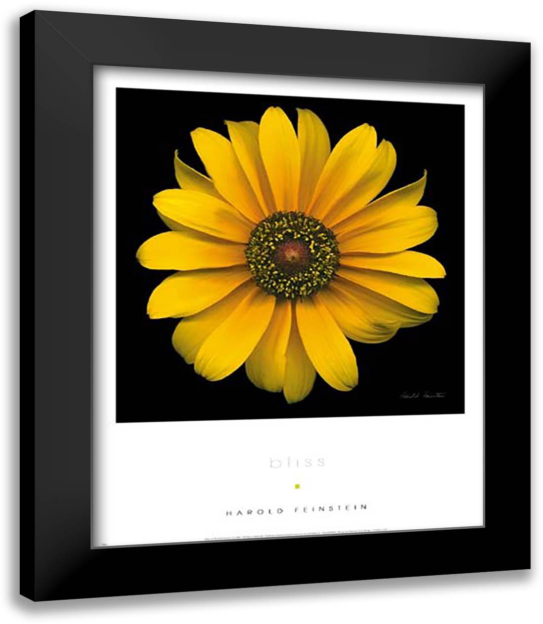 Bliss 15x18 Black Modern Wood Framed Art Print Poster by Feinstein, Harold
