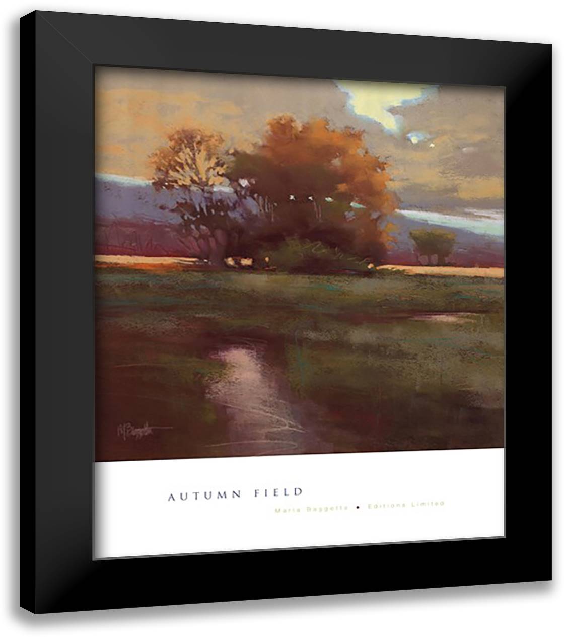 Autumn Field 28x34 Black Modern Wood Framed Art Print Poster by Baggetta, Marla