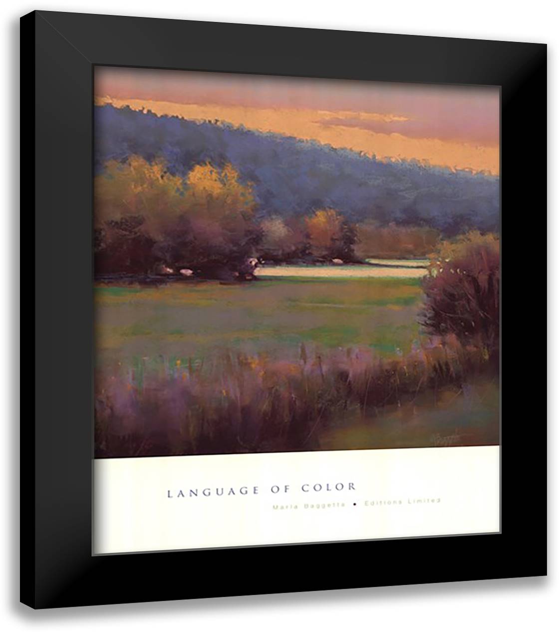 Language Of Color 28x34 Black Modern Wood Framed Art Print Poster by Baggetta, Marla