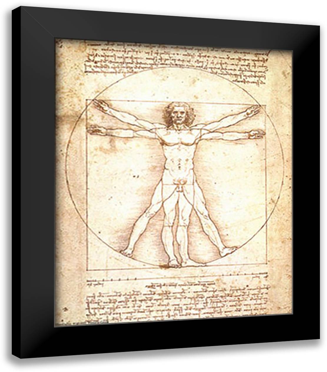 Human Proportions-Vitruvian Man 12x14 Black Modern Wood Framed Art Print Poster by da Vinci, Leonardo