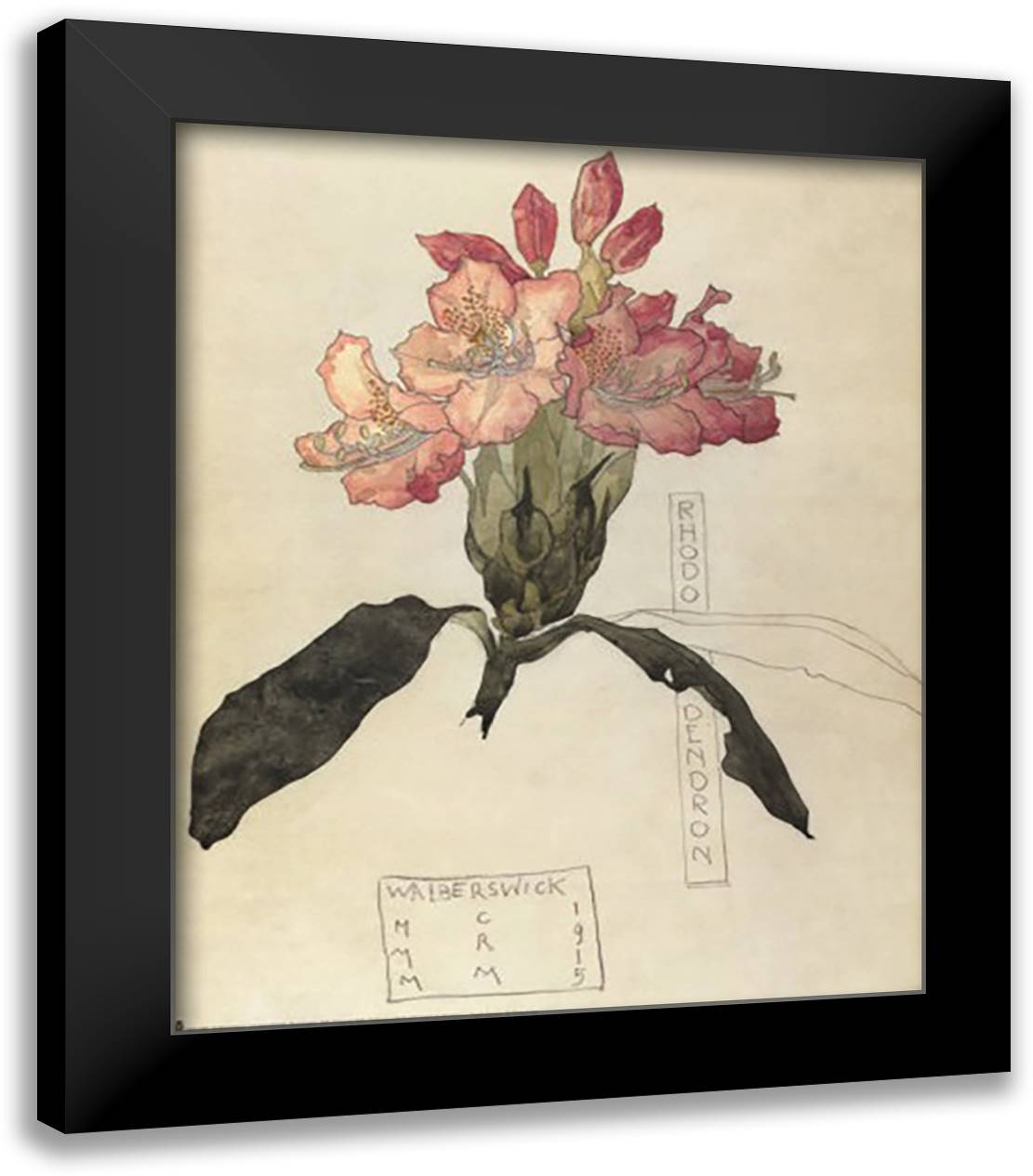 Rhododendron, 1915 20x24 Black Modern Wood Framed Art Print Poster by Mackintosh, Charles