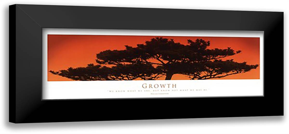 Inspirational - Growth 40x16 Black Modern Wood Framed Art Print Poster