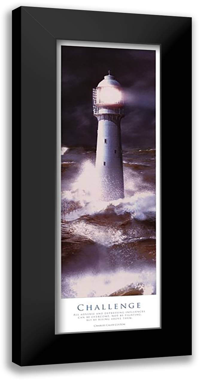 Inspirational - Challenge 16x40 Black Modern Wood Framed Art Print Poster