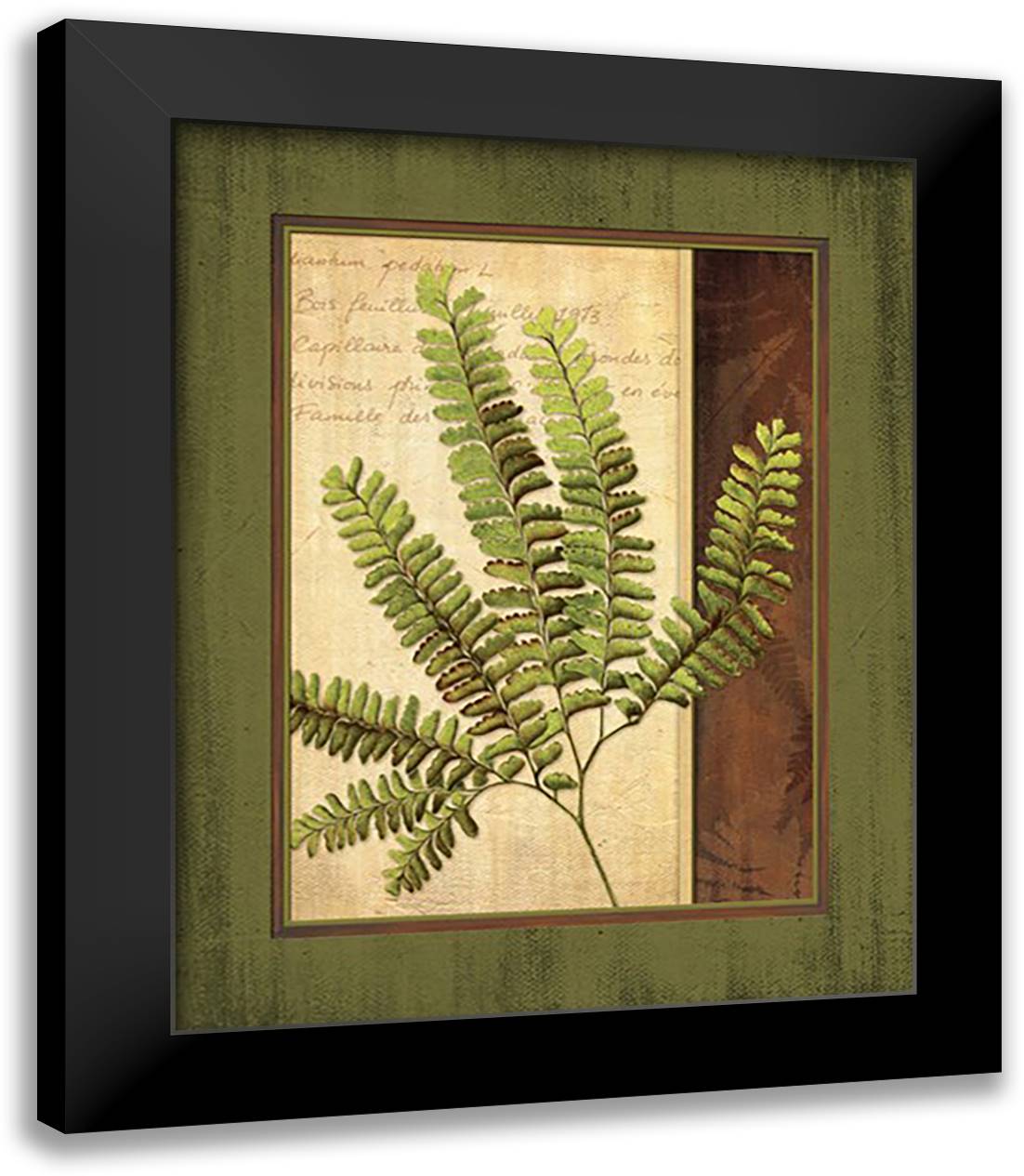 Fern Grotto II 15x18 Black Modern Wood Framed Art Print Poster by Corbin, Delphine
