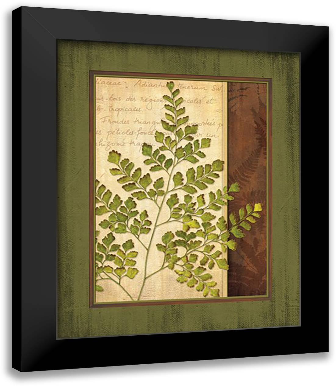 Fern Grotto IV 15x18 Black Modern Wood Framed Art Print Poster by Corbin, Delphine