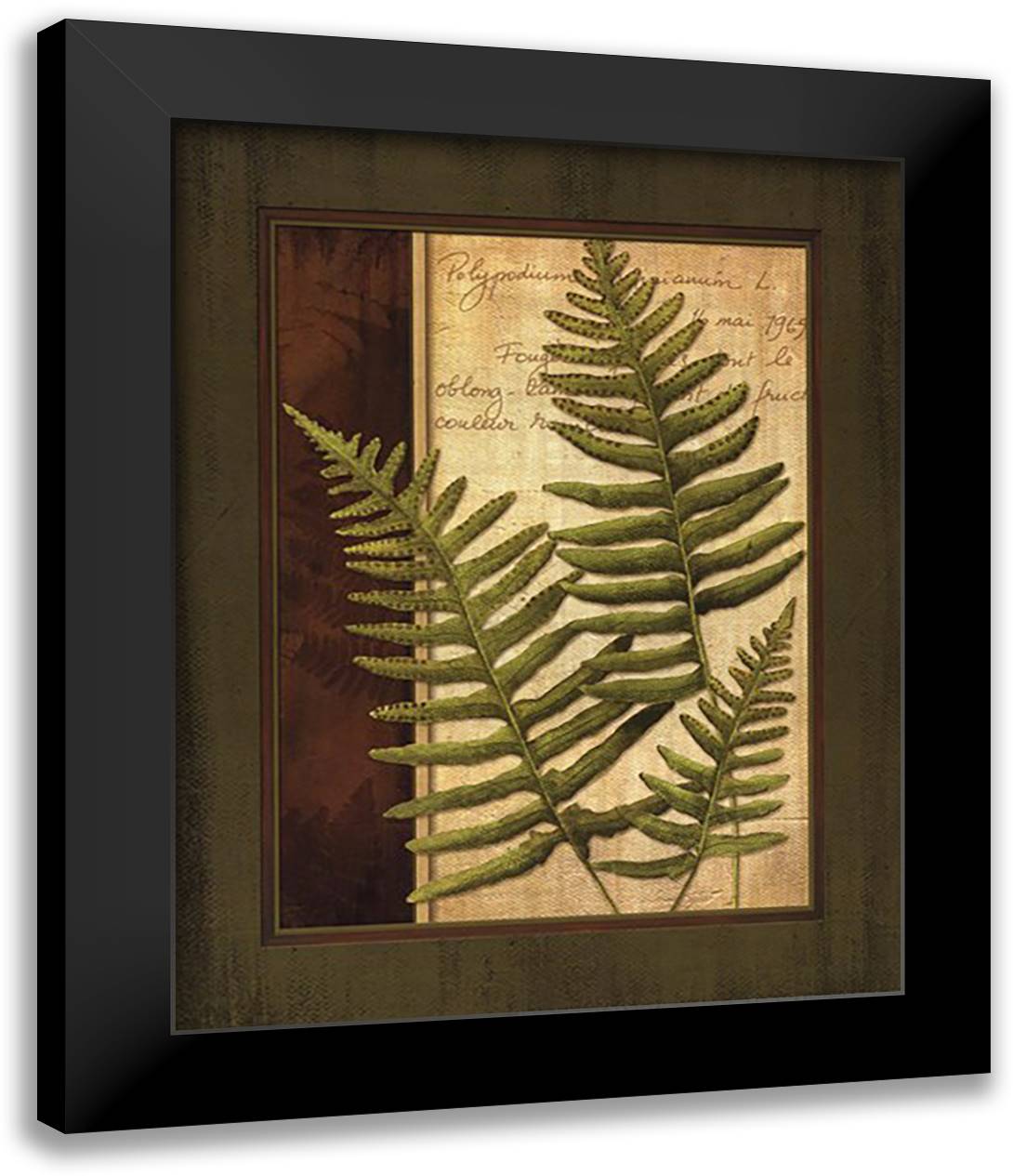Fern Grotto III 15x18 Black Modern Wood Framed Art Print Poster by Corbin, Delphine