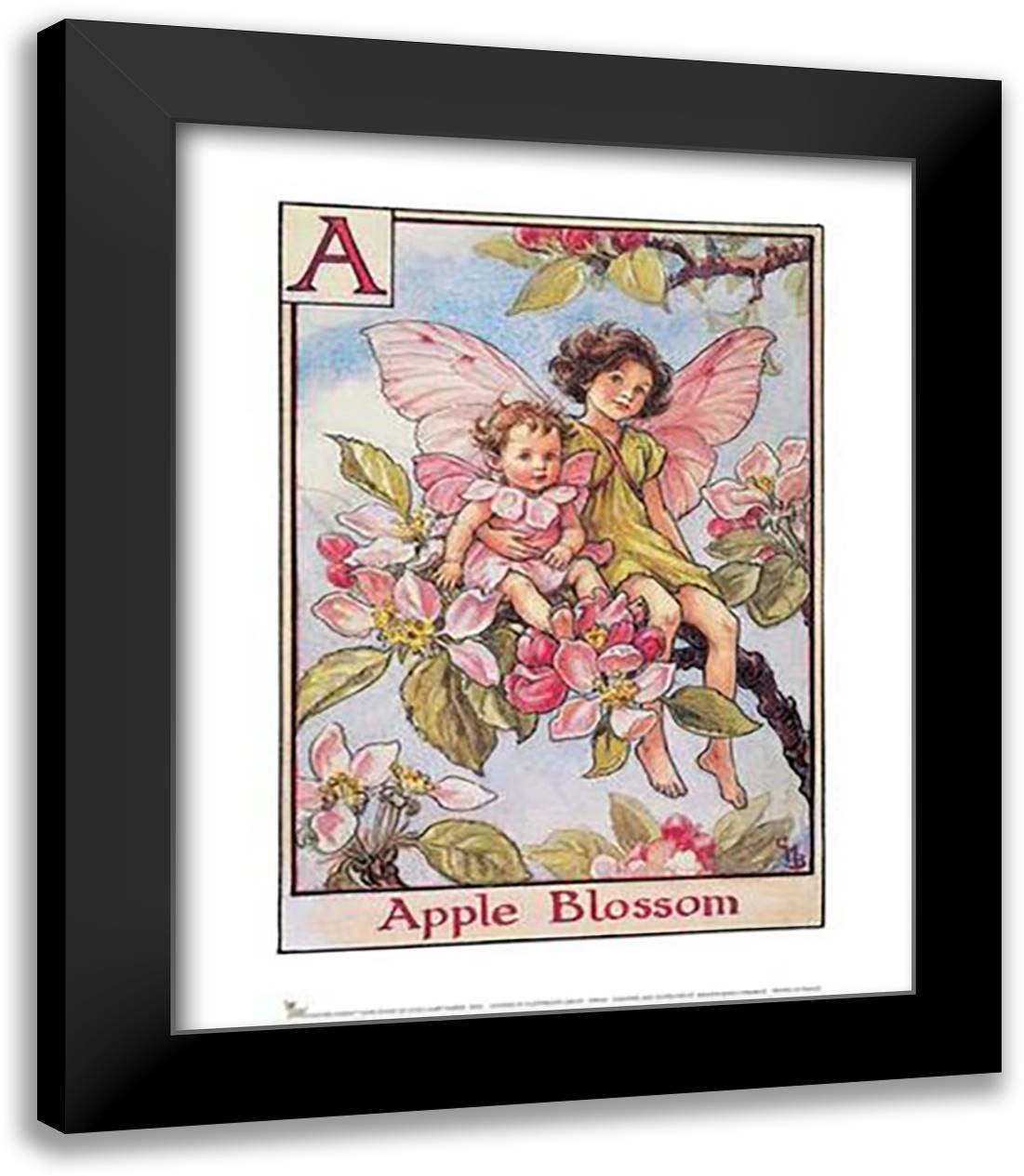 Apple Blossom Fairy 15x18 Black Modern Wood Framed Art Print Poster by Barker, Cicely Mary
