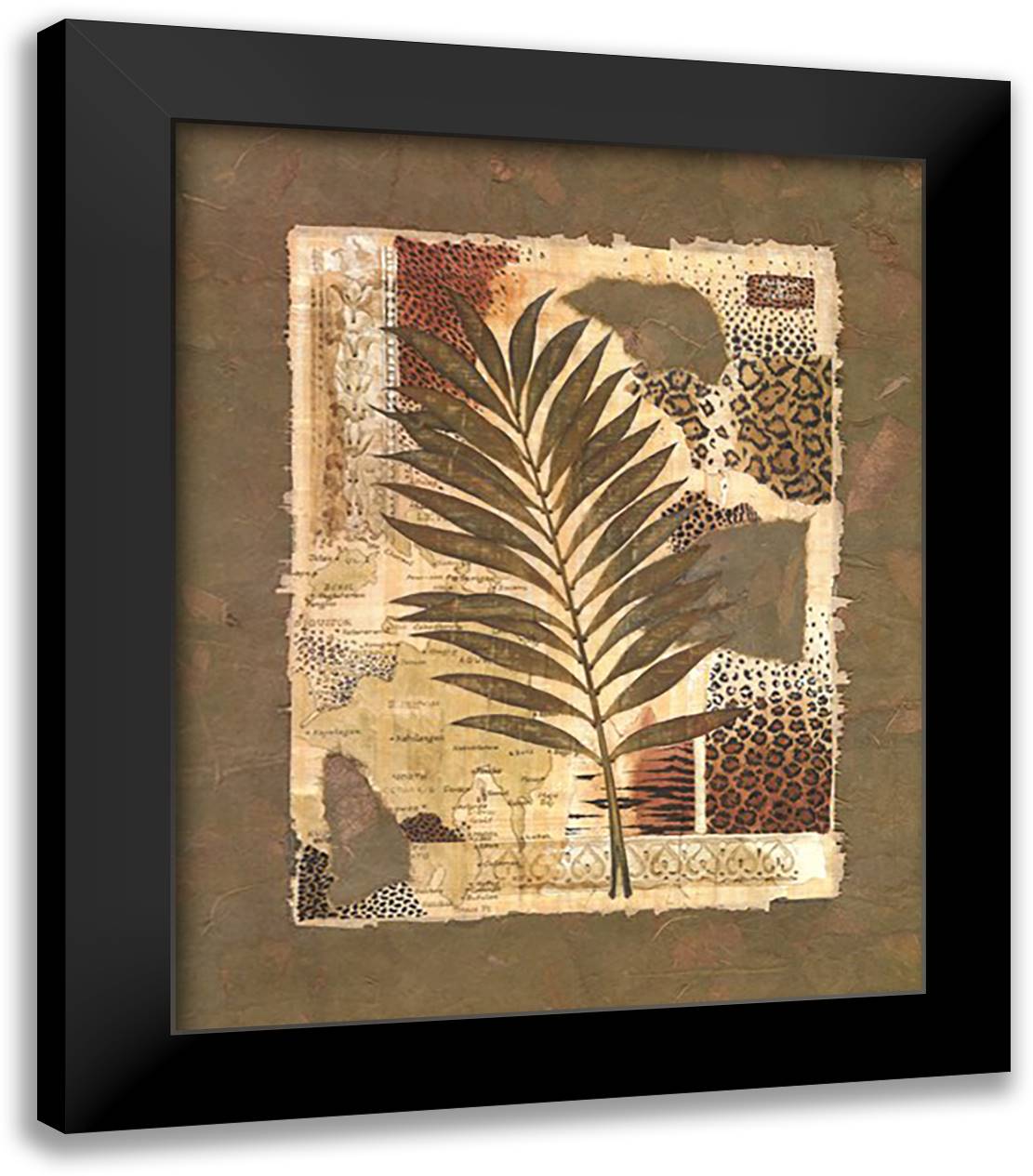 Exotica Botanica II 20x24 Black Modern Wood Framed Art Print Poster by Henson, Richard