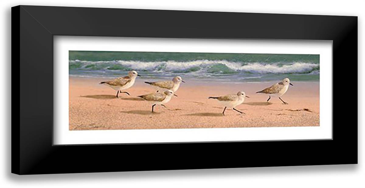 Beach Bunch 24x12 Black Modern Wood Framed Art Print Poster by Seslar, Lin