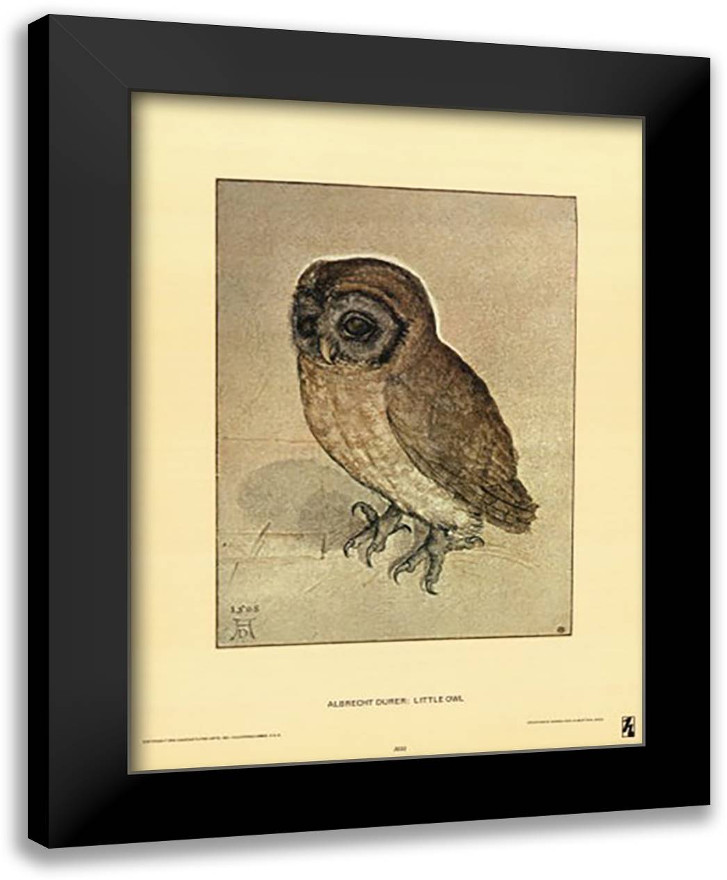 Little Owl, c.1508 12x15 Black Modern Wood Framed Art Print Poster by Durer, Albrecht