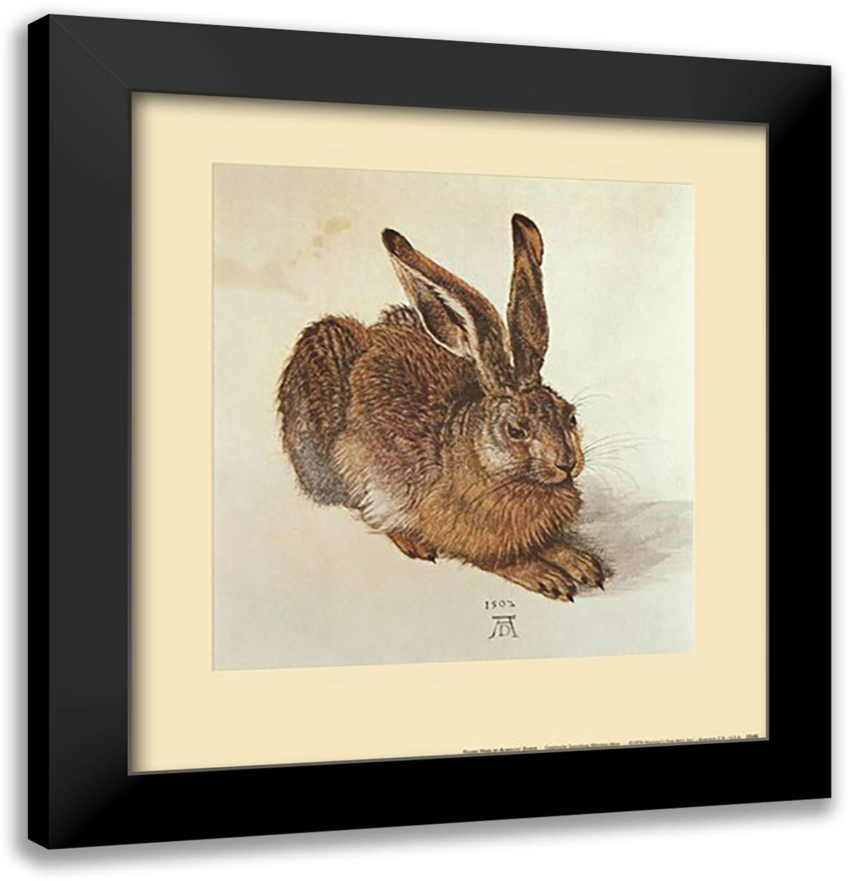 Young Hare, c.1502 16x17 Black Modern Wood Framed Art Print Poster by Durer, Albrecht
