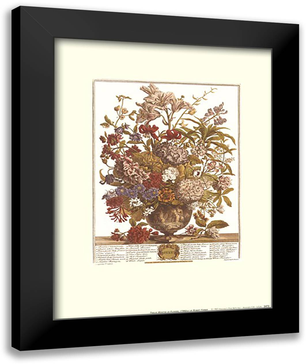 Twelve Months of Flowers, 1730/July 13x16 Black Modern Wood Framed Art Print Poster by Furber, Robert