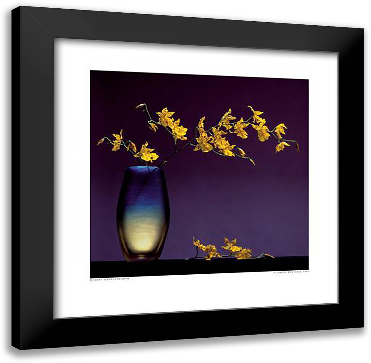 Flowers in a Vase, 1985 28x28 Black Modern Wood Framed Art Print Poster by Mapplethorpe, Robert