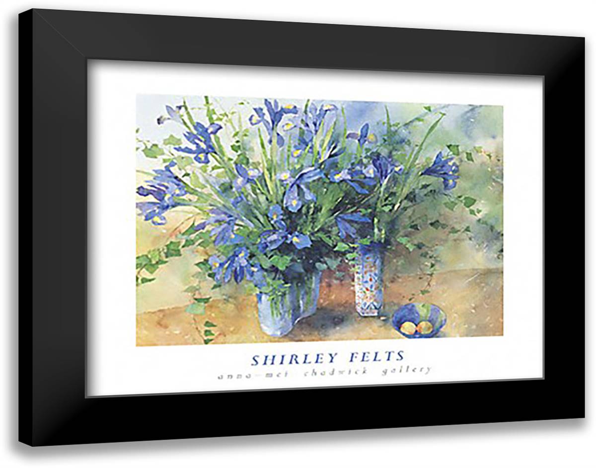 Irises 24x20 Black Modern Wood Framed Art Print Poster by Felts, Shirley
