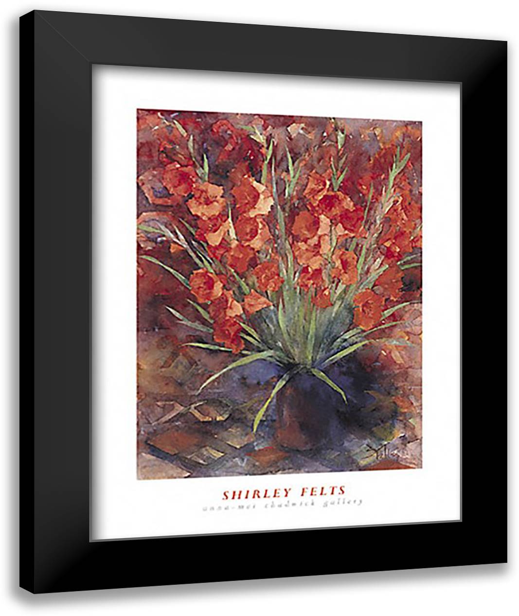 Gladioli 16x20 Black Modern Wood Framed Art Print Poster by Felts, Shirley