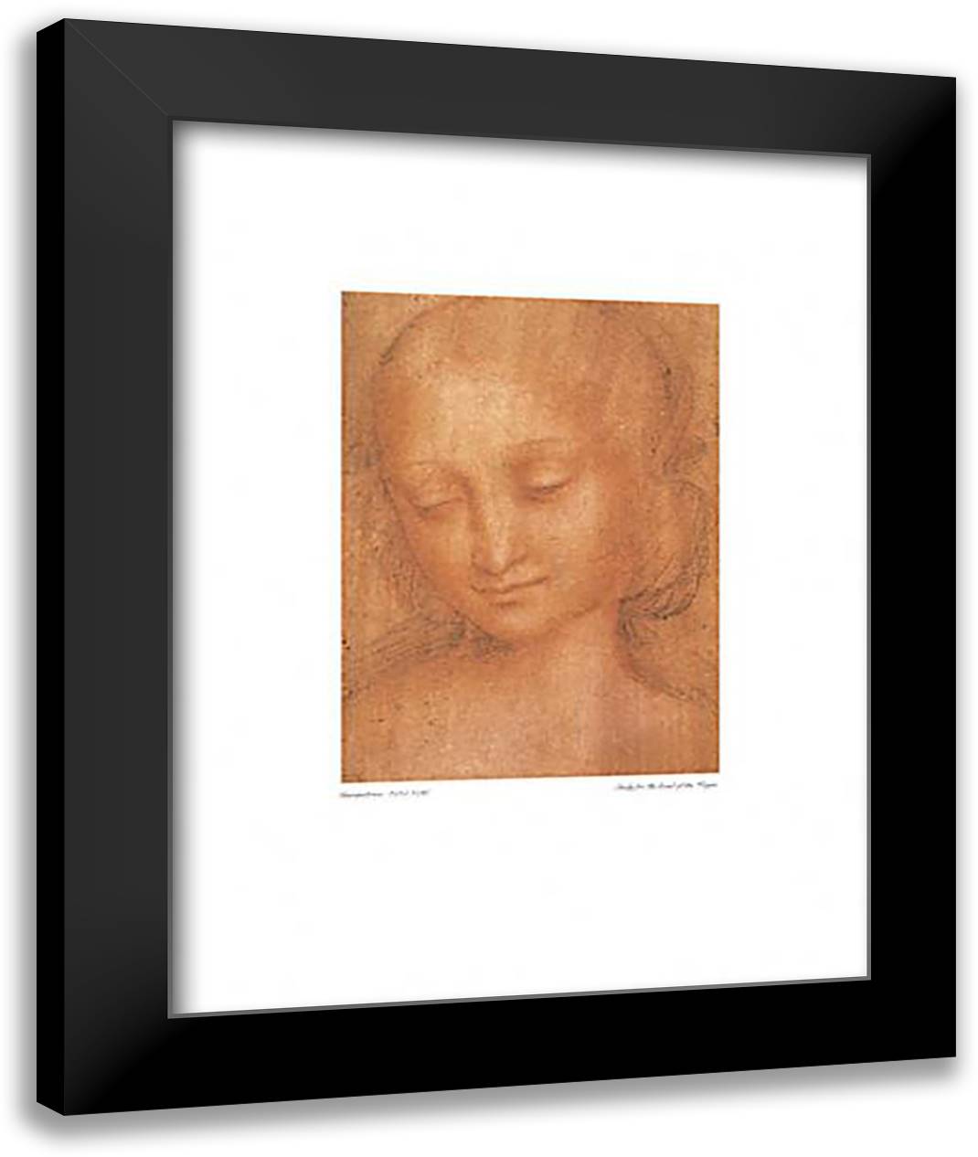 Study for the Head of the Virgin 16x20 Black Modern Wood Framed Art Print Poster by Giampietrino
