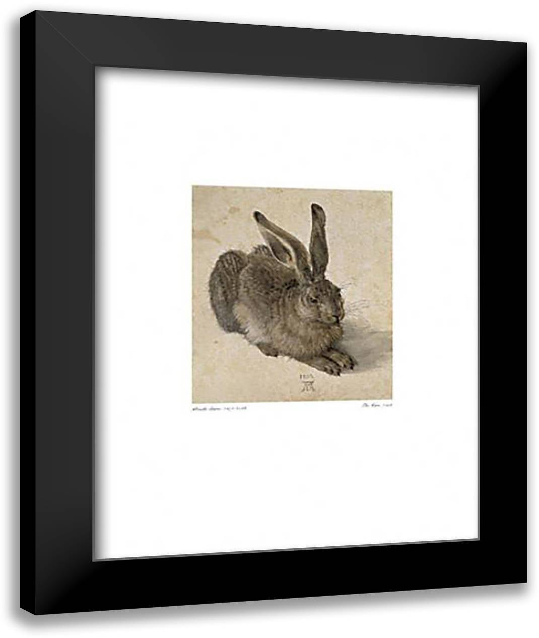 The Hare 16x20 Black Modern Wood Framed Art Print Poster by Durer, Albrecht