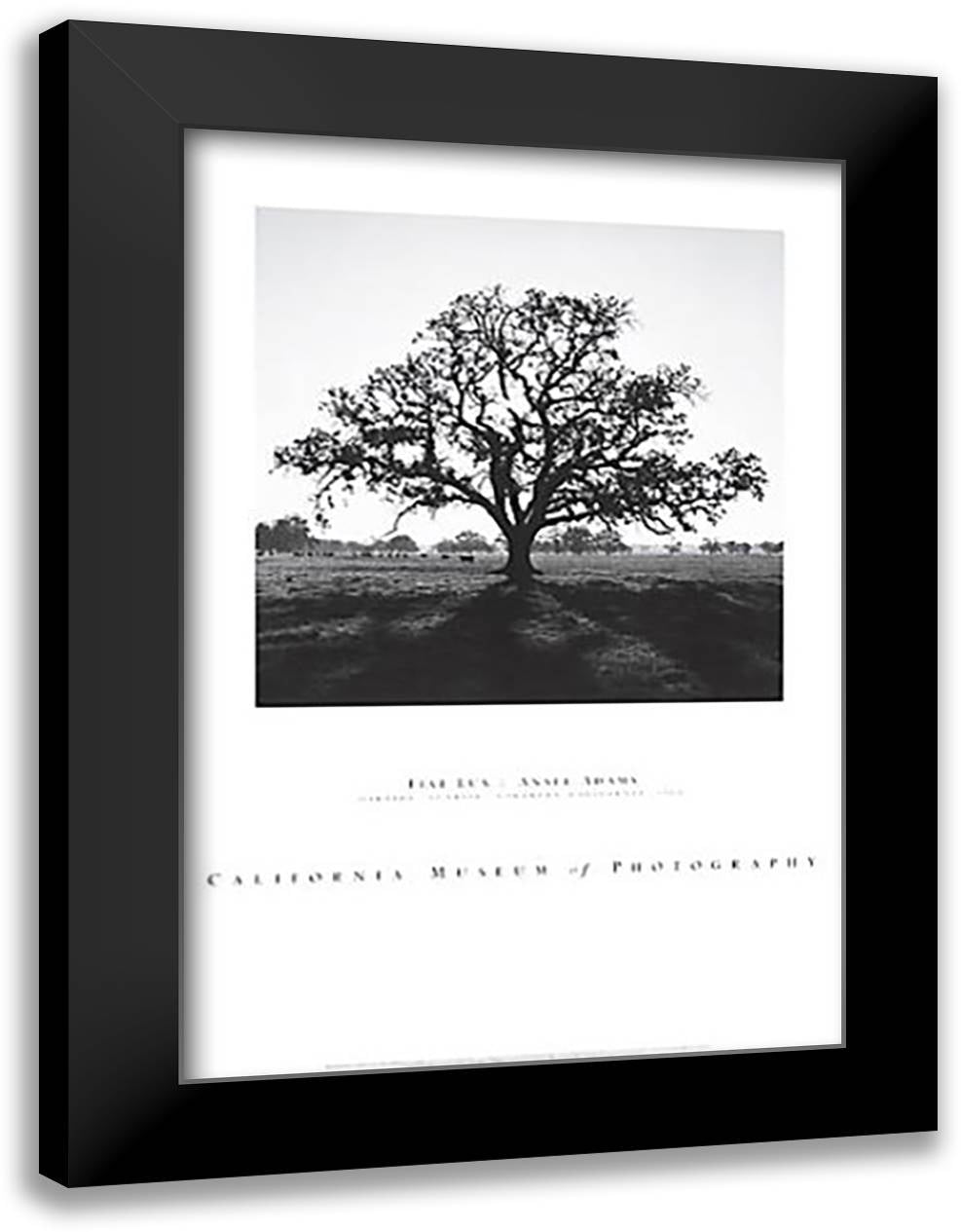 Oaktree, Sunrise 28x40 Black Modern Wood Framed Art Print Poster by Adams, Ansel