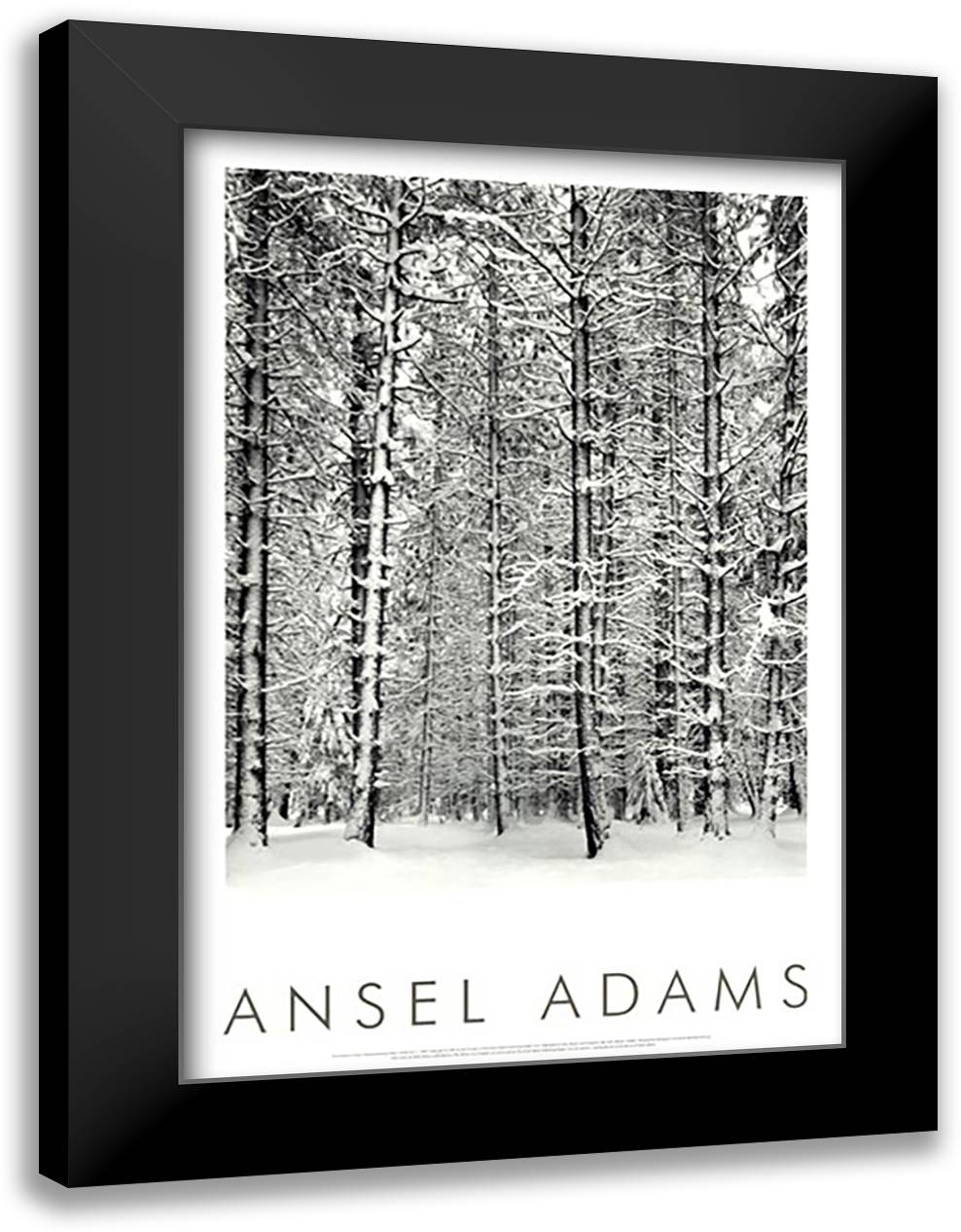 Pine Forest In The Snow, Yosemite Nation 28x40 Black Modern Wood Framed Art Print Poster by Adams, Ansel