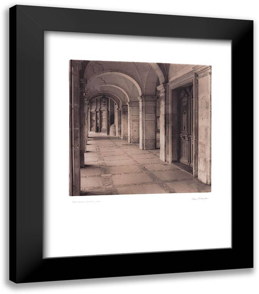 Salamanca, Castilla y Leon 20x24 Black Modern Wood Framed Art Print Poster by Blaustein, Alan