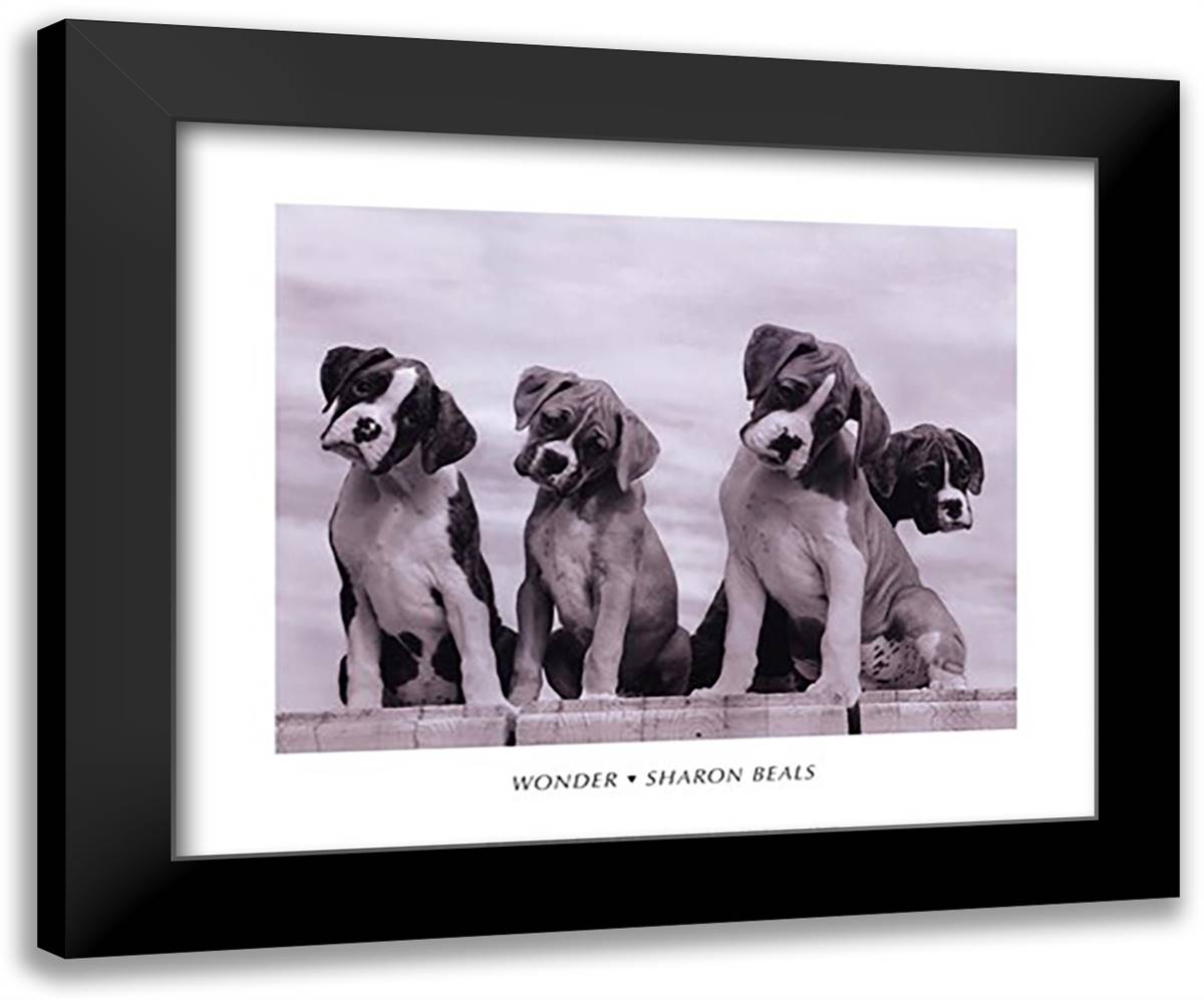Wonder 24x20 Black Modern Wood Framed Art Print Poster by Beals, Sharon