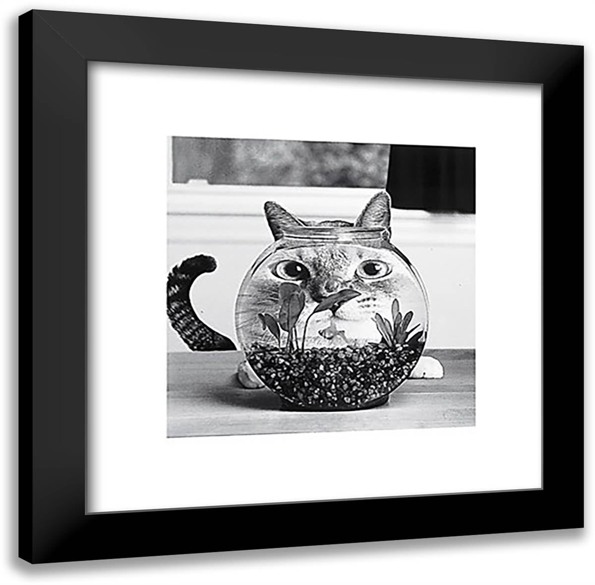 Cat Fish 20x20 Black Modern Wood Framed Art Print Poster by Conger, Cydney